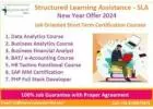 Data Analytics Course in Delhi with Free Python+Power BI by SLA Institute in Delhi,100 % Job
